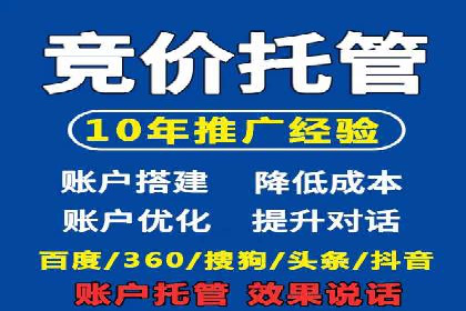 某电商平台的SEM推广策略及效果分析
